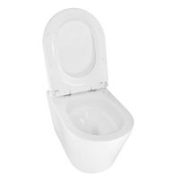 Товар: Унитаз подвесной Azario LANDER 345х490х350 безободковый, смыв "Скрытое Торнадо", с быстросъемным сиденьем "Микролифт" арт-AZ-2802E - фото 3 Унитаз подвесной Azario LANDER 345х490х350 безободковый, смыв "Скрытое Торнадо", с быстросъемным сиденьем "Микролифт" арт-AZ-2802E — фото 3, Подвесные унитазы