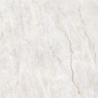 Керамогранит Adani_GT Беж. 60x60 _ 1\54,72 арт-GT606019202SPR — фото 10, Керамогранит