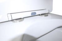 Унитаз-моноблок AZARIO MORANO 680x370х830 напольный, безободковый, в комплекте со смывным механизмом Geberit и сиденьем дюропласт микролифт арт-AZ-1001-G — фото 5, Напольные унитазы