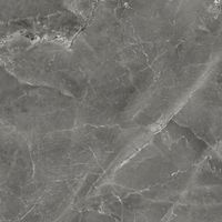 Керамогранит Tulip_GT Темно-сер. 60x60 _ 1\54,72 арт-GT606012109SPR — фото 8, Керамогранит