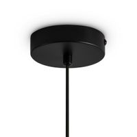 Подвесной светильник Freya FR5593PL-01B — фото 3, Подвесные светильники