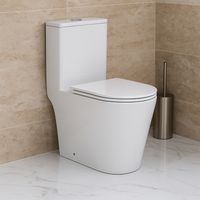 Унитаз-моноблок AZARIO Nimbus 360x680х813 безободковый, система слива "скрытое торнадо", в комплекте с быстросъемным сиденьем микролифт арт-AZ-6080-AP — фото 9, Напольные унитазы