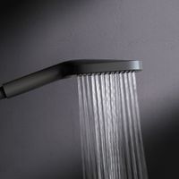 F028F022 Func Ручной душ 3 ф-ции 103х257мм, черный — фото 1, Лейки для душа