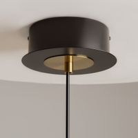 Подвесной светильник Maytoni MOD348PL-L14BBS3K — фото 4, Подвесные светильники