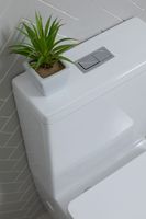 Товар: Чаша напольного унитаза Aquanet Rimless LX-2905 арт-Tavr 2.0 C1 - фото 14 Чаша напольного унитаза Aquanet Rimless LX-2905 арт-Tavr 2.0 C1 — фото 14, Напольные унитазы