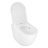 Унитаз приставной Azario Grado 365х570х410 безободковый, смыв "Торнадо", в комплекте с быстросъемным сидением микролифт арт-AZ-2141D-UQ1 — фото 2, Приставные унитазы