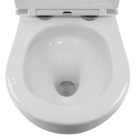 Унитаз подвесной Azario PRO (круглый) СКРЫТОЕ ТОРНАДО безободковый унитаз в комплекте с сидением микролифт скрытая система смыва 490*370*360 мм арт-PRO-0001 UQ3 — фото 9, Подвесные унитазы