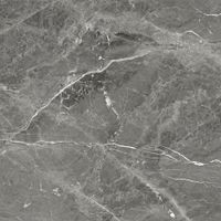 Керамогранит Tulip_GT Темно-сер. 60x60 _ 1\54,72 арт-GT606012109SPR — фото 3, Керамогранит