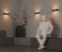 Настенный светильник (бра) Outdoor арт-O428WL-L20GF3K — фото 3, Уличное освещение