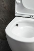 Товар: Чаша подвесного унитаза Allen Brau Priority Tornado 4.31009.20 белый глянец - фото 9 Чаша подвесного унитаза Allen Brau Priority Tornado 4.31009.20 белый глянец — фото 9, Подвесные унитазы