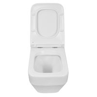 Унитаз подвесной Azario MONEO 530х365х370 безободковый, в комплекте с быстросъемным сидением микролифт арт-AZ-0062 — фото 2, Подвесные унитазы