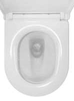 Товар: Унитаз-компакт Azario RIANO 355х620х790 напольный, безободковый, слив "Торнадо" с быстросъемным сиденьем "Микролифт" арт-AZ-1307A - фото 7 Унитаз-компакт Azario RIANO 355х620х790 напольный, безободковый, слив "Торнадо" с быстросъемным сиденьем "Микролифт" арт-AZ-1307A — фото 7, Напольные унитазы
