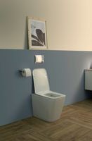 Товар: Унитаз приставной Aquanet Rimless Tavr 2.0 F LX-1908 - фото 9 Унитаз приставной Aquanet Rimless Tavr 2.0 F LX-1908 — фото 9, Приставные унитазы