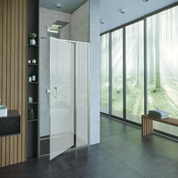 Душевая дверь ALEX BAITLER 7 серия AB78С90 матовое стекло AB78C90 — фото 1, Душевые перегородки