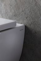 Товар: Унитаз Allen Brau Infinity 4.21004.20 подвесной Белый без сиденья - фото 42 Унитаз Allen Brau Infinity 4.21004.20 подвесной Белый без сиденья — фото 42, Подвесные унитазы