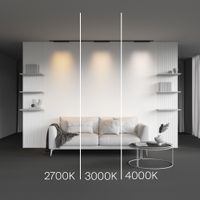 Трековый светильник Technical TR193-1-20W2.7K-M-B — фото 5, Трековые светильники