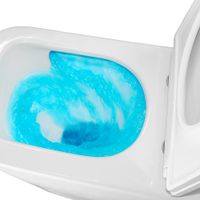 Унитаз-компакт Azario Etéreo 640х370х810 напольный, безободковый, система смыва "Скрытое Торнадо", с быстросъемным сиденьем микролифт арт-AZ-8203 — фото 6, Напольные унитазы