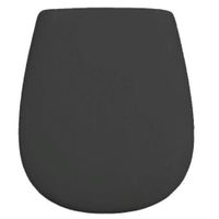 Сиденье с крышкой Artceram Azuley с плавным опусканием цвет черный матовый AZA001 17 71 — фото 1, Сиденья для унитаза