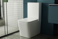 Унитаз ABBER Rechteck AC1210T компакт белый, безободковый, смыв торнадо — фото 19, Напольные унитазы