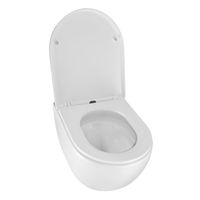 Товар: Унитаз подвесной Azario ORMI 490х360х365 безободковый, система смыва Торнадо, с быстросъемным сиденьем микролифт арт-AZ-0253VD - фото 2 Унитаз подвесной Azario ORMI 490х360х365 безободковый, система смыва Торнадо, с быстросъемным сиденьем микролифт арт-AZ-0253VD — фото 2, Подвесные унитазы