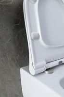 Унитаз с инсталляцией Allen Brau Priority, клавиша хром 301296+301297+306274+306276 — фото 24, Комплекты унитаз + инсталляция