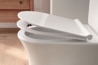 Товар: Крышка-сиденье для унитаза Jacob Delafon Aleo/Soprano быстросъемное, с микролифтом, белое (E33127-0) - фото 3 Крышка-сиденье для унитаза Jacob Delafon Aleo/Soprano быстросъемное, с микролифтом, белое (E33127-0) — фото 3, Сиденья для унитаза