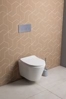 Товар: Унитаз подвесной Aquanet Atago 3.0 Tornado белый 00348006 - фото 26 Унитаз подвесной Aquanet Atago 3.0 Tornado белый 00348006 — фото 26, Подвесные унитазы