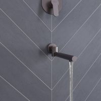 Душевой комплект BERGES NARDIS 3R, поворотный излив, оружейная сталь арт-071009 — фото 7, Встраиваемые душевые комплекты