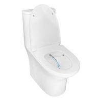 Унитаз-моноблок с функцией биде AZARIO Sente 375х665х785 напольный, безободковый, горизонтальный слив, сиденье дюропласт микролифт арт-AZ-8614B — фото 1, Напольные унитазы