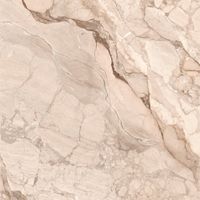 Керамогранит Celestia_GT Беж. 60x60 _ 1\46,08 арт-GT60601002MR-3 — фото 11, Керамогранит