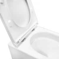 Унитаз подвесной Azario VELA 360х480х360 безободковый, система смыва "Торнадо", с быстросъемным сиденьем микролифт арт-AZ-2480 — фото 5, Подвесные унитазы