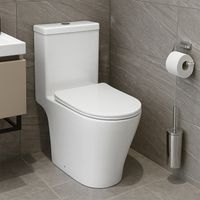 Товар: Унитаз-моноблок Azario Prime 373х645х765 напольный, безободковый , с быстросъемным сиденьем "Микролифт" арт-AZ-1363OP - фото 14 Унитаз-моноблок Azario Prime 373х645х765 напольный, безободковый , с быстросъемным сиденьем "Микролифт" арт-AZ-1363OP — фото 14, Напольные унитазы