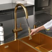 Смеситель Reflexion Lago RX9902GD для кухни с гибким изливом и подключением к фильтру, брашированное золото — фото 66, Смесители для кухни