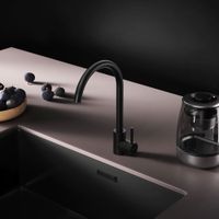 F85B07122 X-Joy S, смеситель для кухни с С-изливом, черный — фото 2, Смесители для кухни