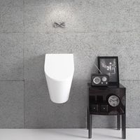 Крышка для писсуара GLOBO FORTY3 с микролифтом цвет белый FO024 арт-FO024BI — фото 2, Писсуары