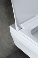 Унитаз с инсталляцией Allen Brau Infinity 4.21011.20/8.9466.0.000.000.1 белый глянец 00316506 — фото 26, Комплекты унитаз + инсталляция