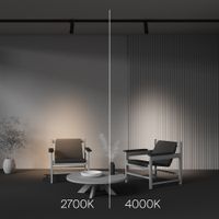 Трековый светильник Technical арт-TR198-3-20W4K-Z-B — фото 8, Трековые светильники