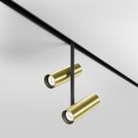 Товар: Трековый светильник Technical TR005-2-2X12W4K-BBS - фото 3 Трековый светильник Technical TR005-2-2X12W4K-BBS — фото 3, Трековые светильники