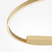 Настенный светильник (бра) Maytoni арт-MOD058WL-L50BSK — фото 2, Бра