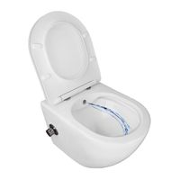 Унитаз подвесной c функцией биде Azario Allegro 360х490х360 безободковый, встроенный смеситель, крышка с сиденьем микролифт арт-AZ-3105B — фото 3, Подвесные унитазы