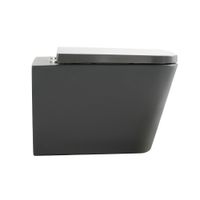 Товар: Унитаз подвесной Veconi Pulo арт-VPU-51TGR - фото 3 Унитаз подвесной Veconi Pulo арт-VPU-51TGR — фото 3, Подвесные унитазы