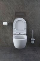 Товар: Унитаз Allen Brau Priority 4.31001.20 подвесной без сиденья - фото 49 Унитаз Allen Brau Priority 4.31001.20 подвесной без сиденья — фото 49, Подвесные унитазы