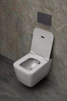 Товар: Чаша подвесного унитаза Allen Brau Liberty антрацит арт-4.33007.AN - фото 15 Чаша подвесного унитаза Allen Brau Liberty антрацит арт-4.33007.AN — фото 15, Подвесные унитазы