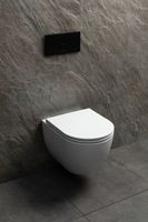 Чаша подвесного унитаза Allen Brau Priority Tornado белый глянец арт-4.31008.20 — фото 14, Подвесные унитазы