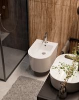 Товар: Биде подвесное с отв под смеситель, с переливом 515x360x345мм арт-AQM2101 - фото 4 Биде подвесное с отв под смеситель, с переливом 515x360x345мм арт-AQM2101 — фото 4, Биде подвесные