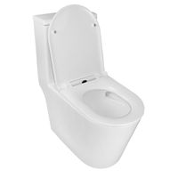 Унитаз-моноблок Azario Scala 360х690х790 безободковый, слив "Торнадо", с быстросъемным сиденьем микролифт арт-AZ-8101 — фото 2, Напольные унитазы