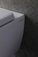 Унитаз с инсталляцией Allen Brau Liberty, с гигиеническим душем 279260+280865+325594+306280+314382 — фото 24, Комплекты унитаз + инсталляция