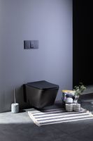 Товар: Унитаз подвесной Aquanet Rimless Tavr-W BL-103N-WHT black черный матовый TAVR-W BW - фото 20 Унитаз подвесной Aquanet Rimless Tavr-W BL-103N-WHT black черный матовый TAVR-W BW — фото 20, Подвесные унитазы