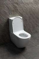 Чаша напольного унитаза Allen Brau Priority Tornado белый глянец арт-4.31006.20 — фото 9, Напольные унитазы