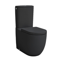 Товар: Унитаз Artceram FILE 2.0 напольный цвет черный матовый FLV003 17 00 - фото 1 Унитаз Artceram FILE 2.0 напольный цвет черный матовый FLV003 17 00 — фото 1, Напольные унитазы